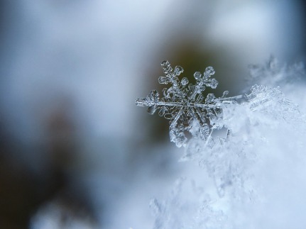 snowflake-1245748_1280.jpg